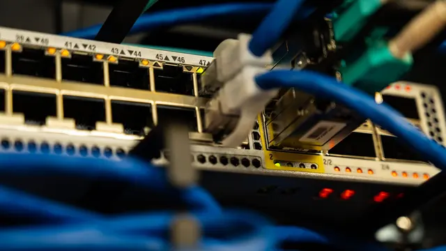 Ethernet cables plugged into a network switch